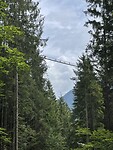 IMG_4917