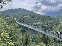 IMG_4921