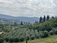IMG_5162