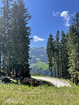 IMG_5422
