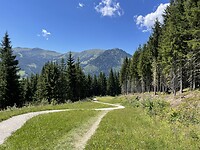 IMG_5426