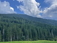IMG_5497