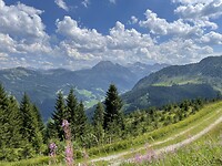 IMG_5512