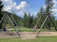 IMG_6017