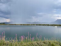 IMG_6022