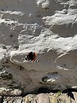 IMG_0113