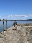 IMG_0118