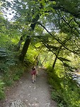 10f8606d-1891-4d04-8704-d82b0089172c