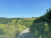 IMG_0149