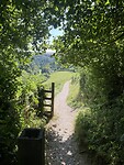 IMG_0160