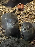 IMG_0223