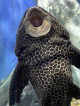 IMG_0220