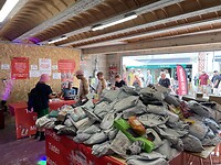 IMG_0347