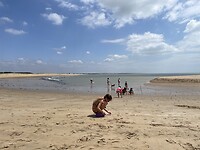 IMG_0486