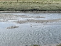 IMG_0480
