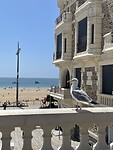 IMG_0504