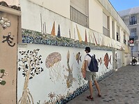 IMG_0526