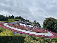 IMG_0619