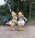IMG_0618