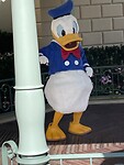 IMG_0584