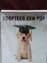 Een goed idee?