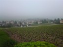 Champagne dorp Hautvillers, ook in de mist