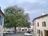 's Morgens donkere lucht, regen en onweer