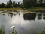 Gewoon een leuke foto van de rivier