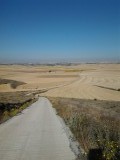 Een lange weg door de korenvelden richting Boadilla del Camino
