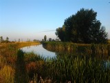 's Morgens lopen langs Canal de Castilla
