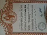 Mijn diploma voor het lopen van de Camino naar Santiago!