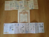 Mijn twee bijna volle stempelkaarten en het diploma!