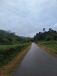 20250504_080505