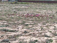 20250515_125003