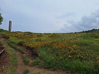 20250518_112644