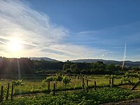20250526_080448