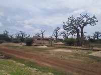Senegal
