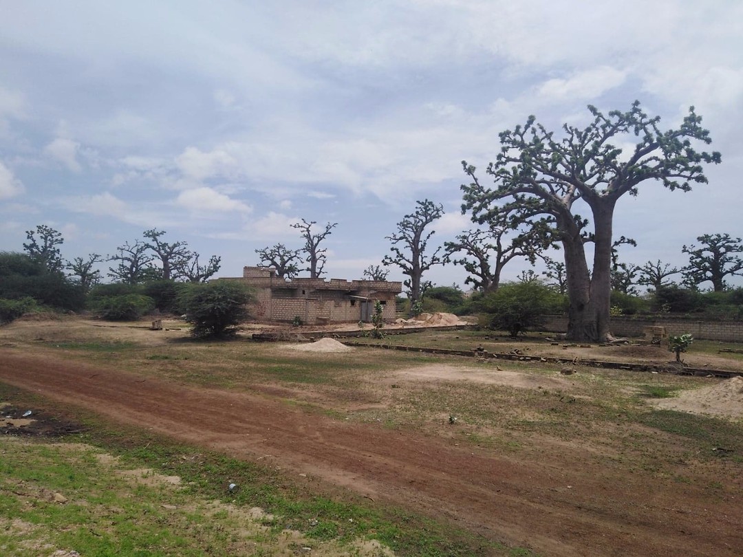 Senegal