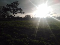Gambia