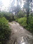 Guinee-Bissau