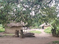 Guinee-Bissau