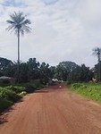 Guinee-Bissau