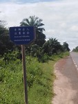 Guinee