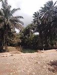 Guinee
