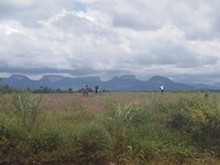 Guinee