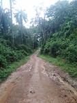 Sierra Leone