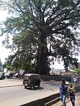 Sierra Leone, Freetown