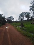 Sierra Leone