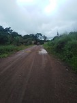 Guinee