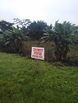 Liberia